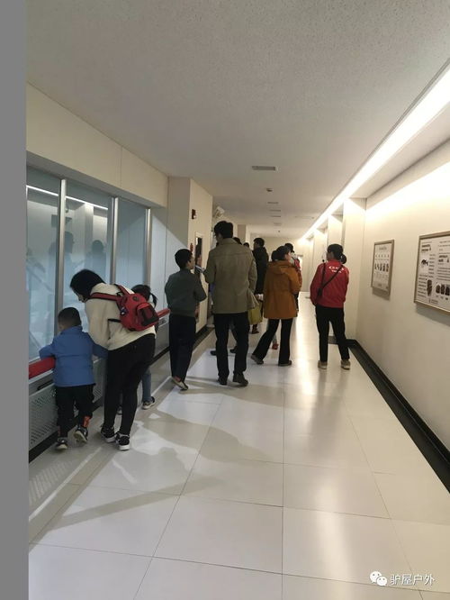 养乐多工厂探游 揭秘100亿活性菌与健康住宿的双重体验